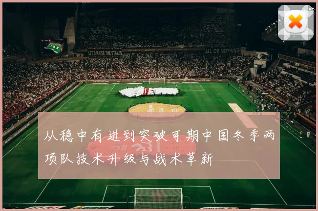从稳中有进到突破可期中国冬季两项队技术升级与战术革新