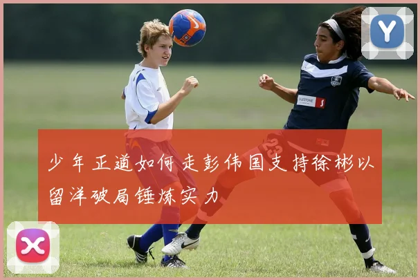 少年正道如何走彭伟国支持徐彬以留洋破局锤炼实力