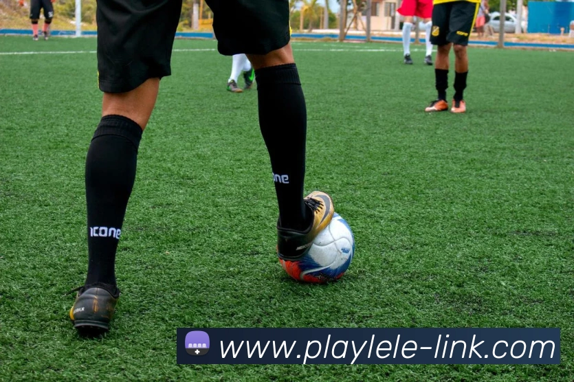 乐乐捕鱼官网 | 专注深海狩猎、玩法技巧与新版本深度报道门户服务体系